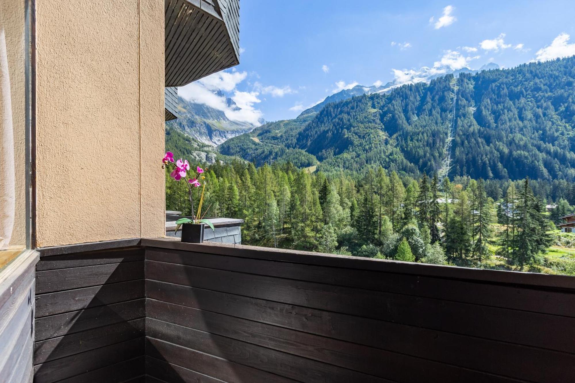 Residence Grand Roc - Campanules 314 Happy Rentals Chamonix Buitenkant foto